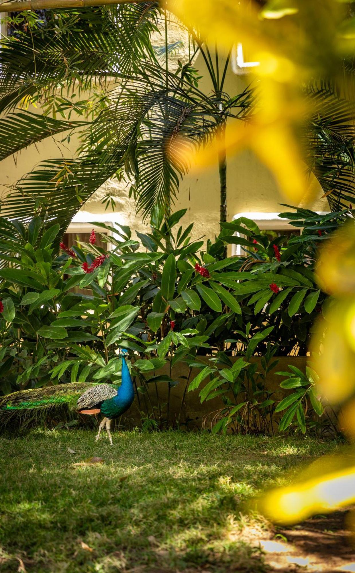 Hotel Villas Sayulita Exterior photo