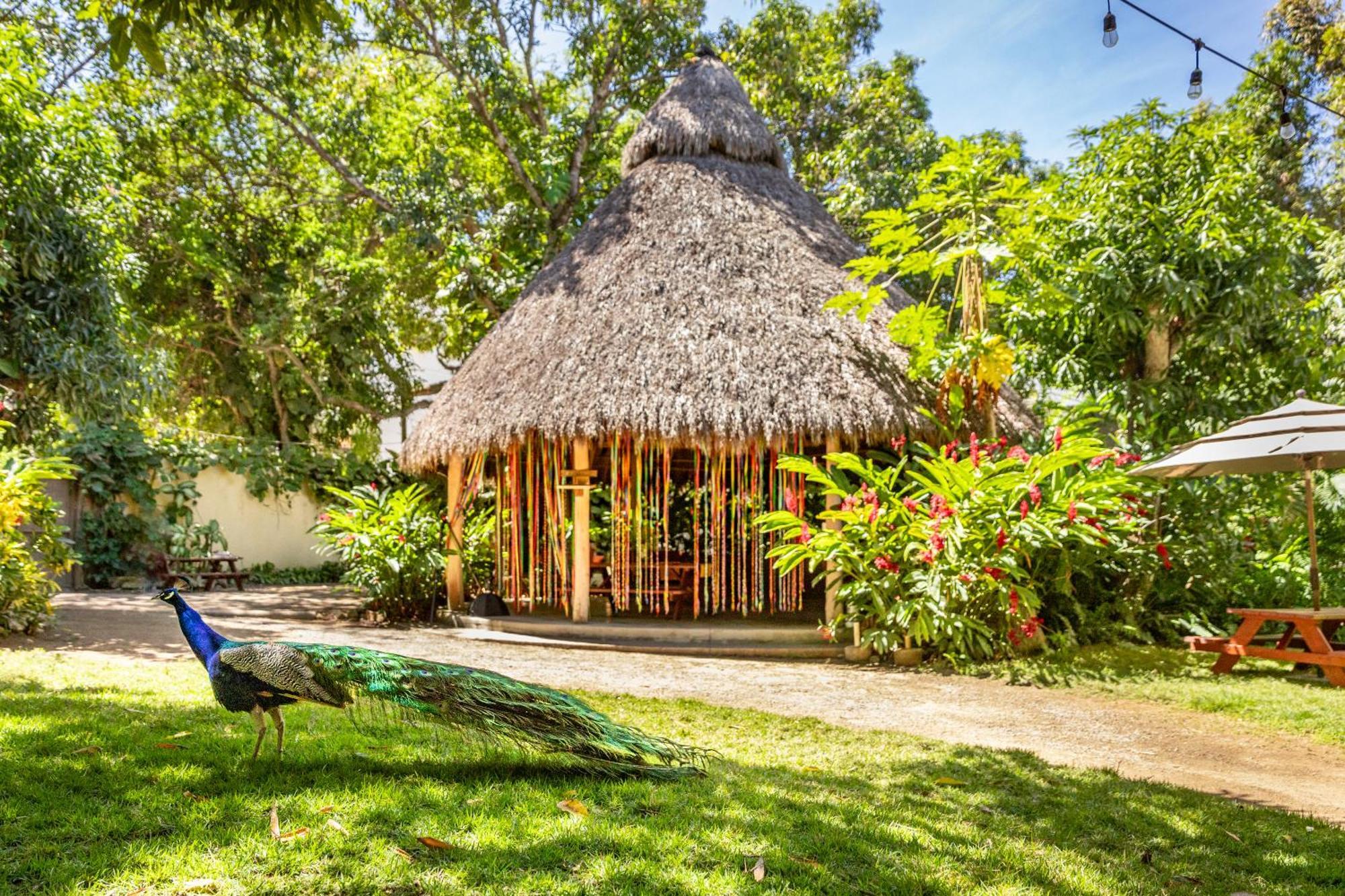 Hotel Villas Sayulita Exterior photo